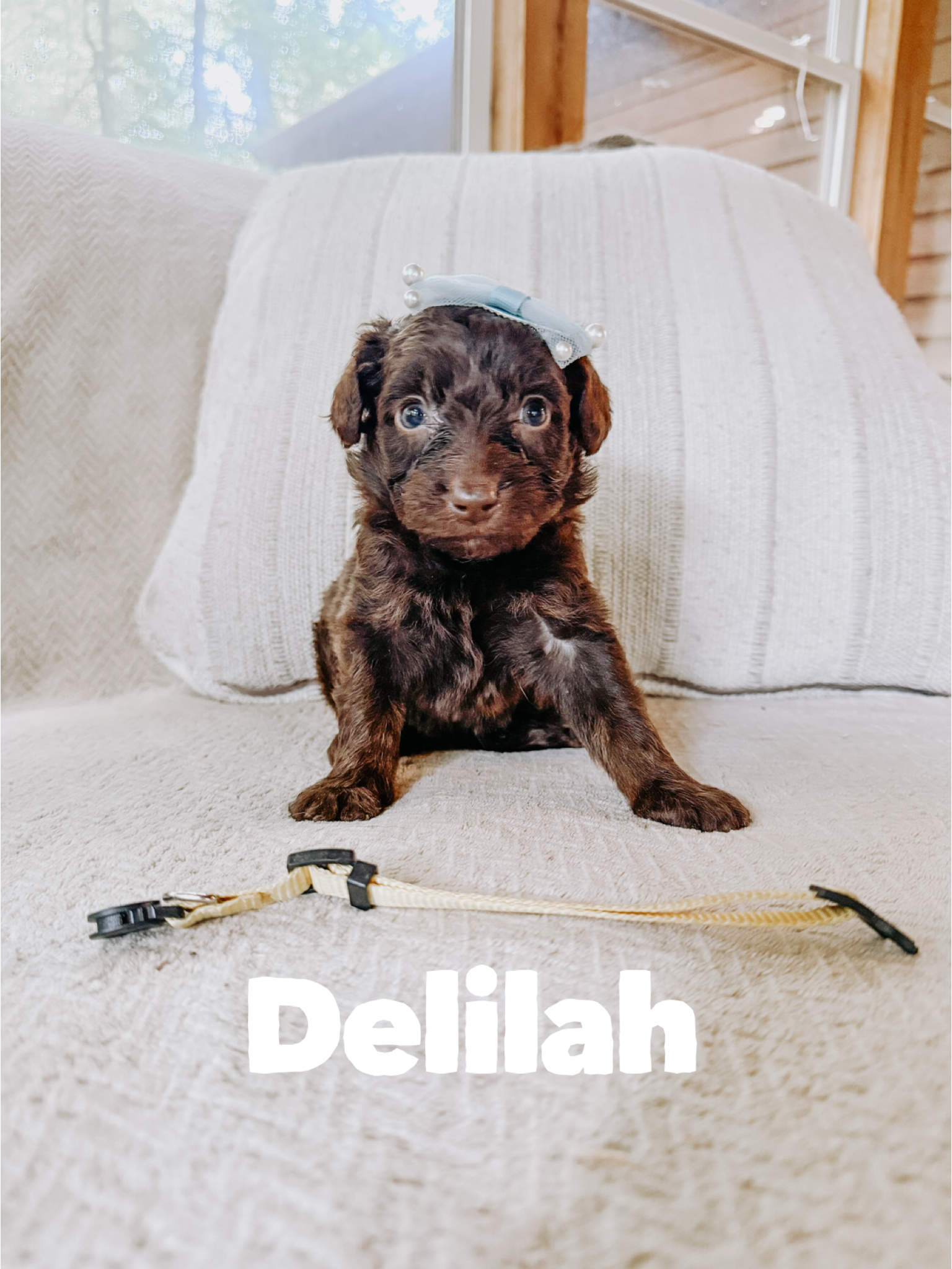 Delilah 2